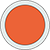 Teflon PTFE Silicone Cross Section