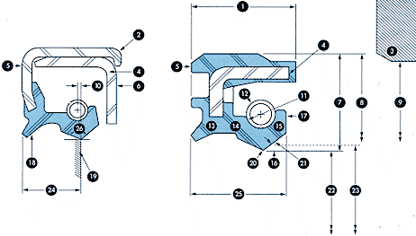 Radial Shaft Seal Cross Section