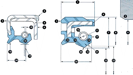 Radial Shaft Seal Cross Section