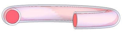 Teflon PTFE Enccapsulated Seal