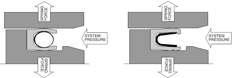 Spring Energized Seals Gland